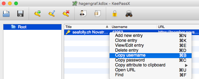 KeePass - Anmeldung bei einer Website